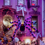 Halloween Spider Web Lights – 8 Mode LED Web with Glowing Spider