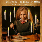Floating LED Candles with Remote – Hanging Magic Wand Set